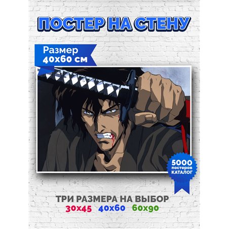Постер, плакат интерьерный 40x60см - Ninja Scroll