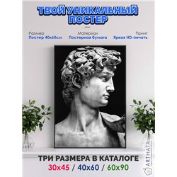 Постер, плакат интерьерный 40x60см - David