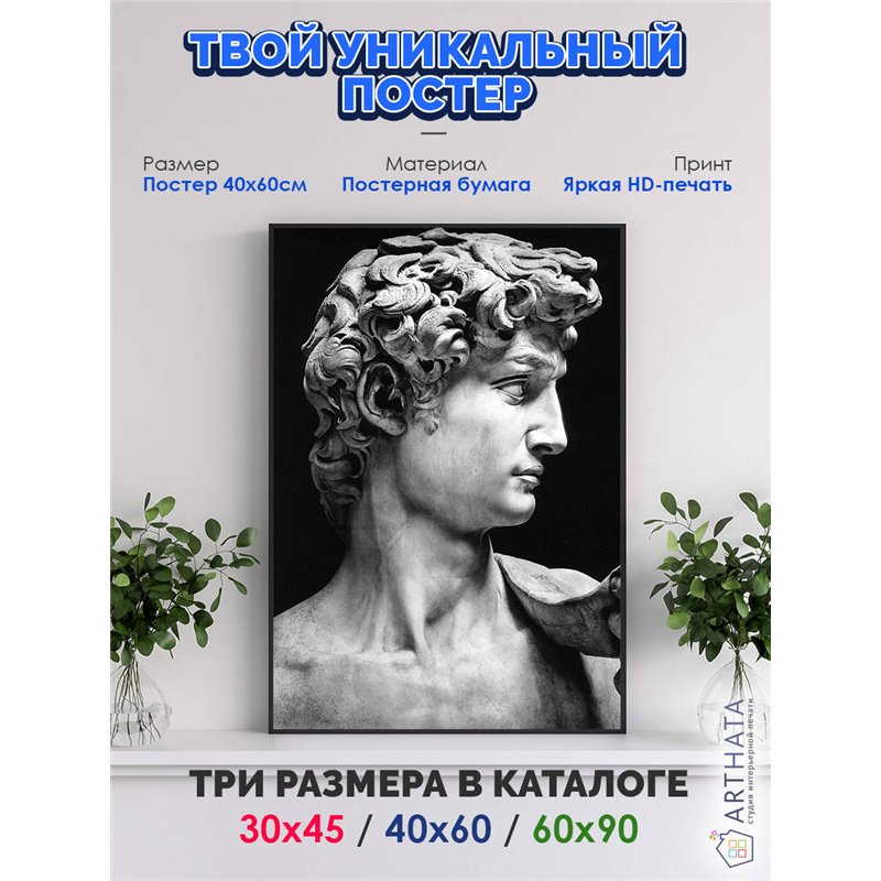 Постер, плакат интерьерный 40x60см - David