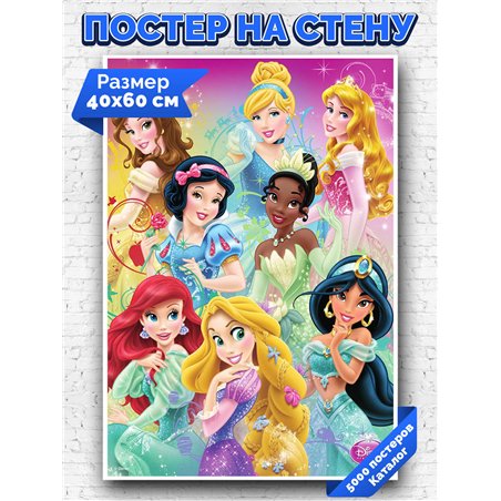 Постер, плакат интерьерный 40x60см - Princess Disney