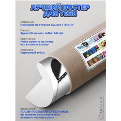Постер, плакат интерьерный 40x60см - Panda