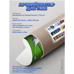 Постер, плакат интерьерный 40x60см - Coolidge Cassius