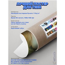 Постер, плакат интерьерный 40x60см - Joker