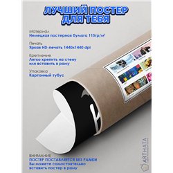 Постер, плакат интерьерный 40x60см - Король и Шут