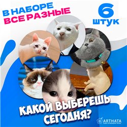 Подставка под горячее под чашку коты мемы бирдекель 6 шт.