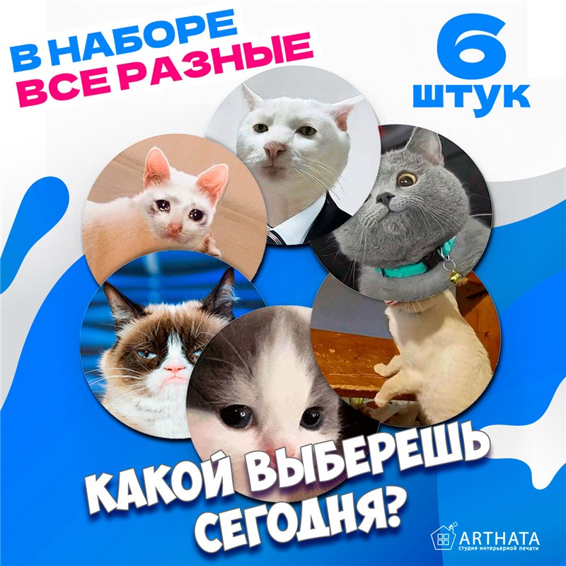 Подставка под горячее под чашку коты мемы бирдекель 6 шт.