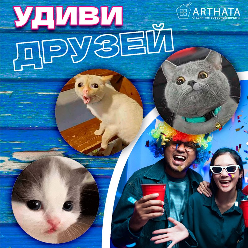 Подставка под горячее под чашку коты мемы бирдекель 6 шт.