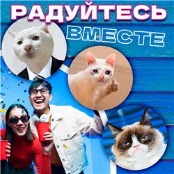 Подставка под горячее под чашку коты мемы бирдекель 6 шт.