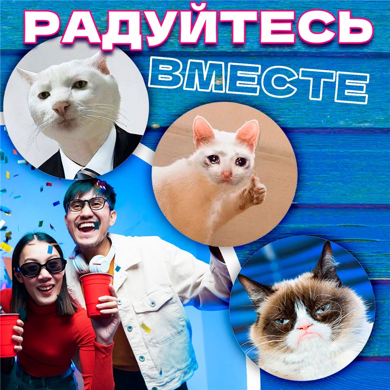 Подставка под горячее под чашку коты мемы бирдекель 6 шт.