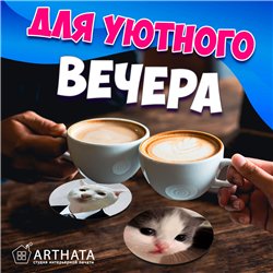 Подставка под горячее под чашку коты мемы бирдекель 6 шт.