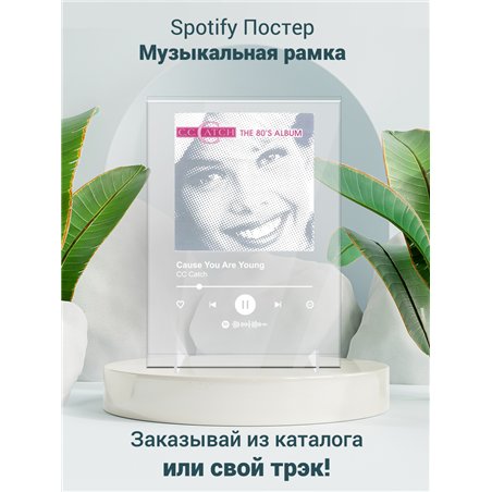 CC Catch - Cause You Are Young - постер Spotify