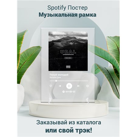 Виталя Джа - Похуй молодой - постер Spotify