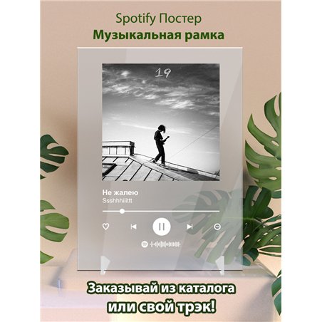 Ssshhhiiittt - Не жалею - постер Spotify