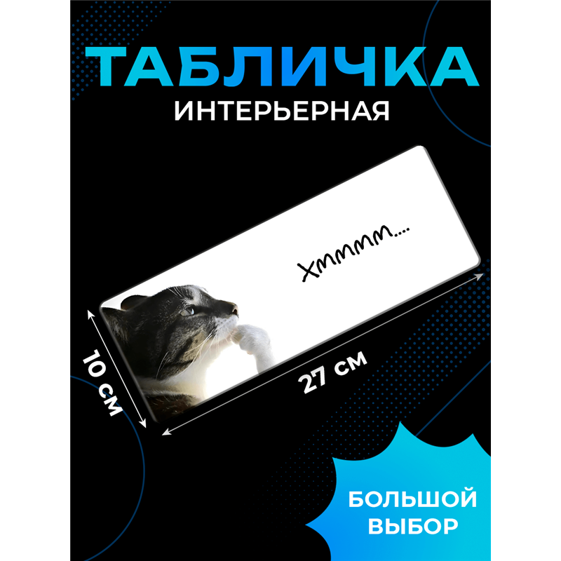 Табличка с приколом на дверь подростку «Кот задумался Хммм»