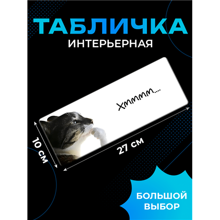 Табличка с приколом на дверь подростку «Кот задумался Хммм»