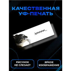 Табличка с приколом на дверь подростку «Кот задумался Хммм»