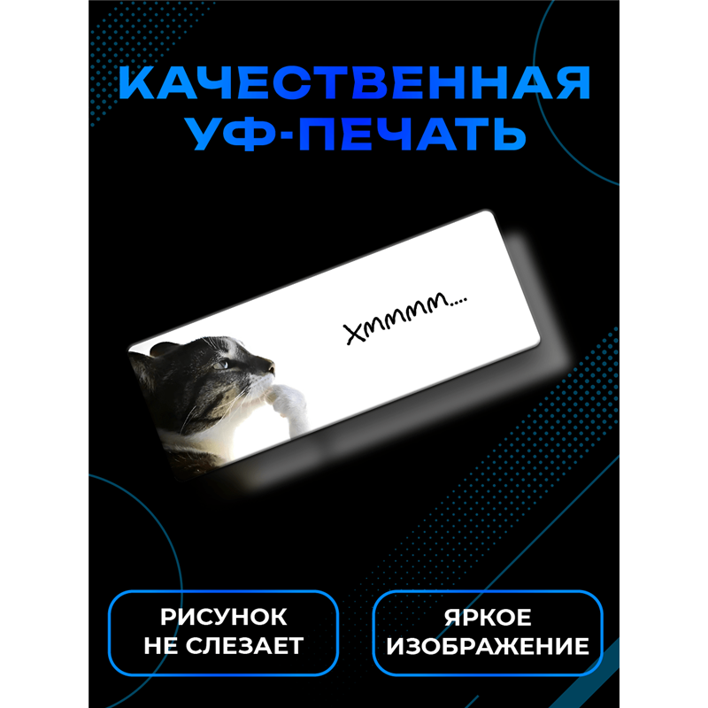 Табличка с приколом на дверь подростку «Кот задумался Хммм»