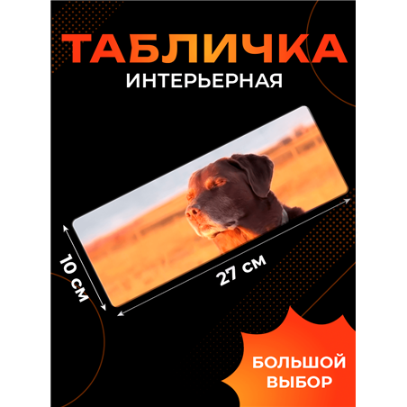 Подарок Табличка с приколом подростку «Собака Дзен» чилбой