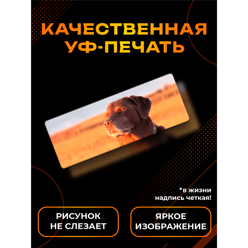 Подарок Табличка с приколом подростку «Собака Дзен» чилбой