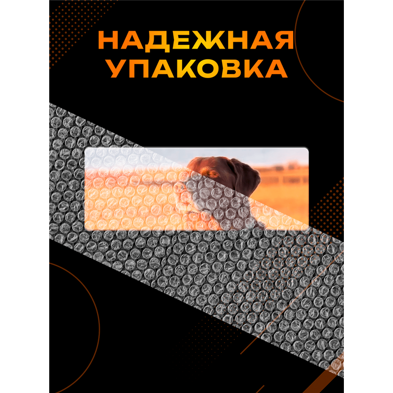 Подарок Табличка с приколом подростку «Собака Дзен» чилбой