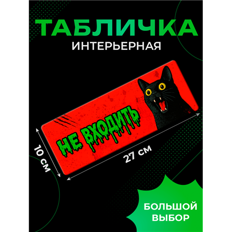 Табличка с котом «Не входить» прикольная на дверь подростку