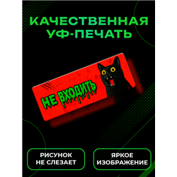 Табличка с котом «Не входить» прикольная на дверь подростку