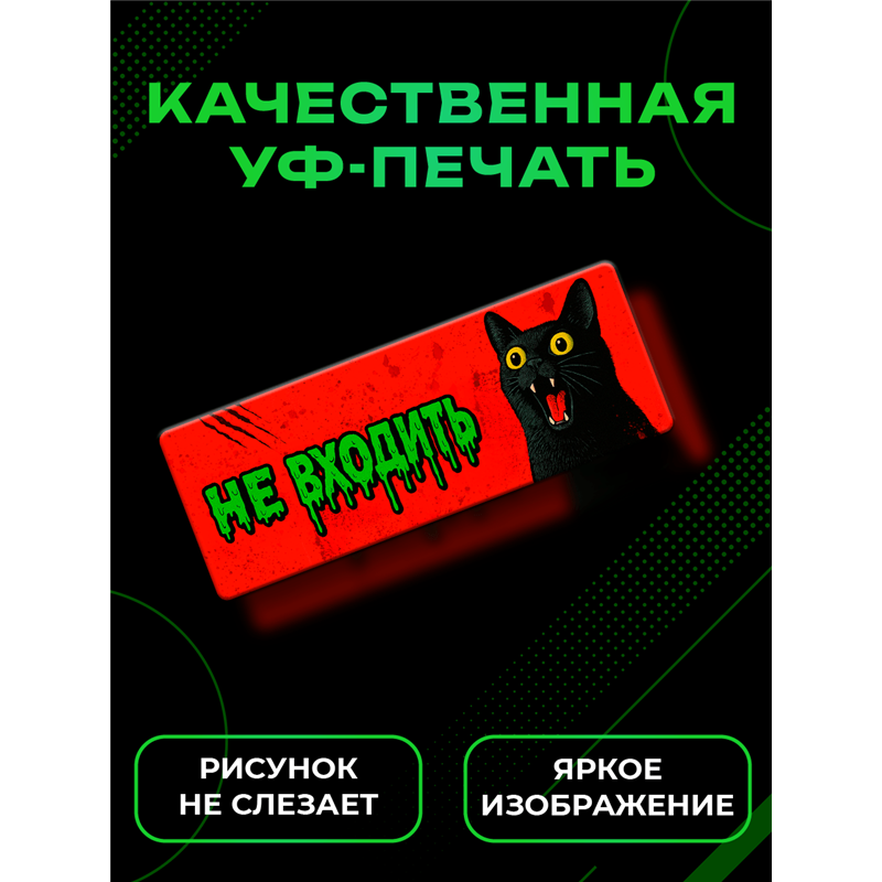 Табличка с котом «Не входить» прикольная на дверь подростку