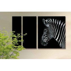 Одинокая зебра - Модульная картины, Репродукции, Декоративные панно, Декор стен
