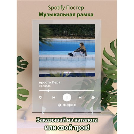 просто Лера - Провода - постер Spotify