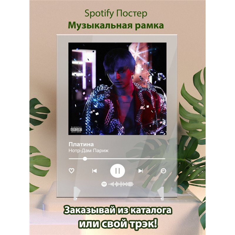 Платина - Нотр-Дам Париж - постер Spotify