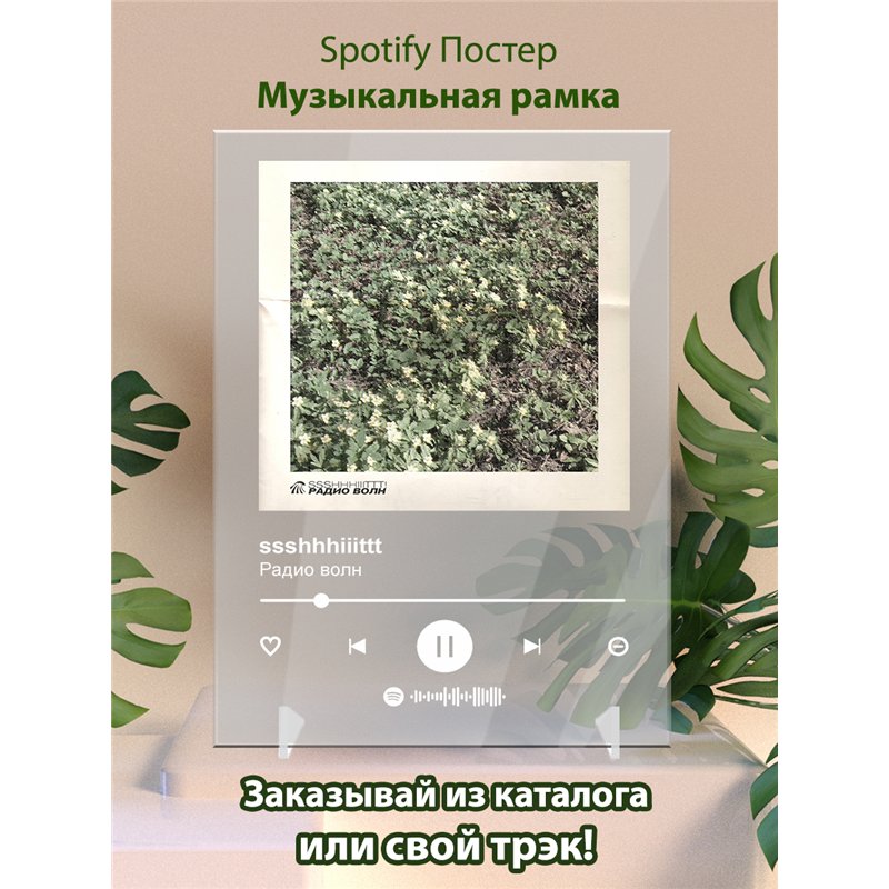 ssshhhiiittt - Радио волн - постер Spotify