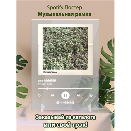 ssshhhiiittt - Радио волн - постер Spotify