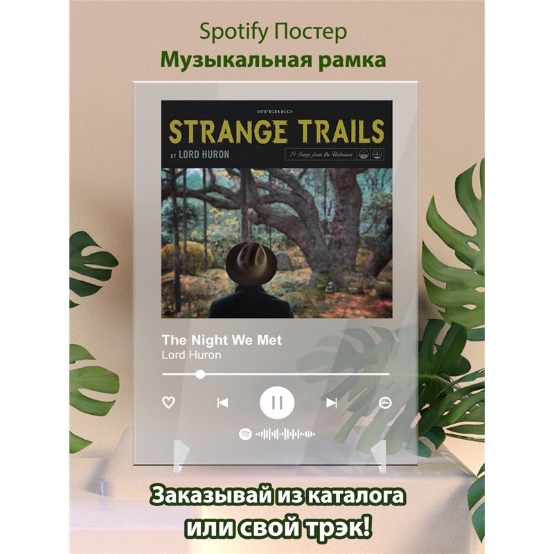 The Night We Met - Lord Huron - постер Spotify