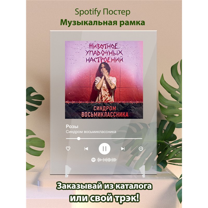 Синдром восьмиклассника - Розы - постер Spotify