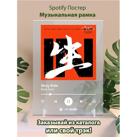 Stray Kids - Back Door - постер Spotify