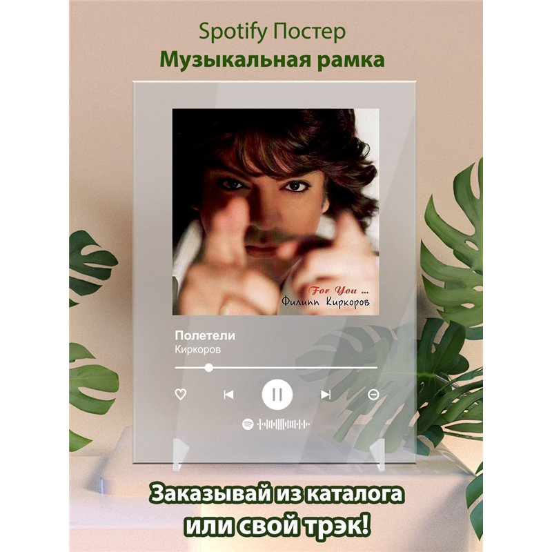 Киркоров - Полетели - постер Spotify