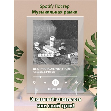 noa, PHARAOH, White Punk - Unplugged (Interlude) - постер Spotify