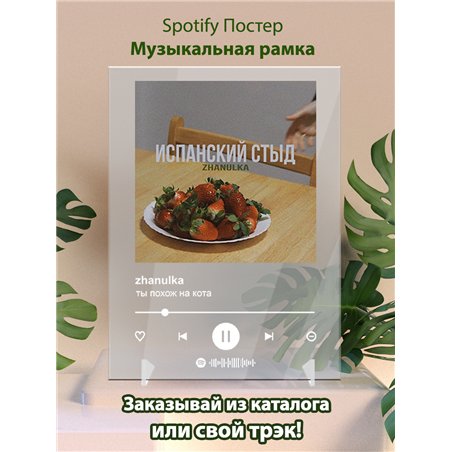 zhanulka - ты похож на кота - постер Spotify