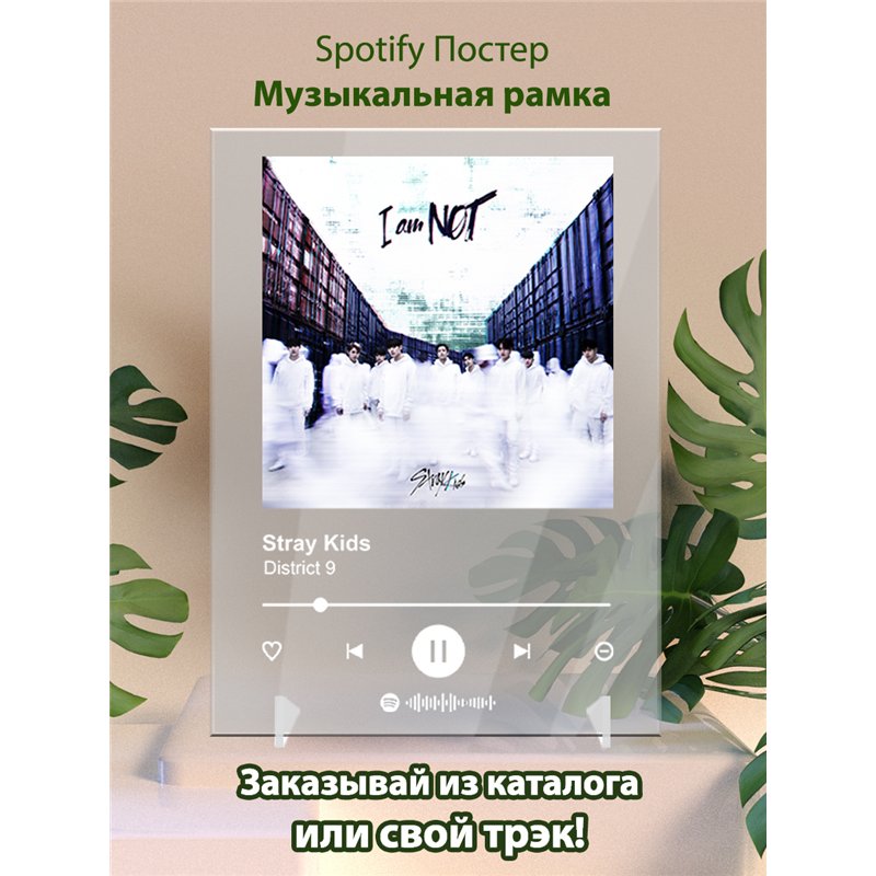 Stray Kids - District 9 - постер Spotify