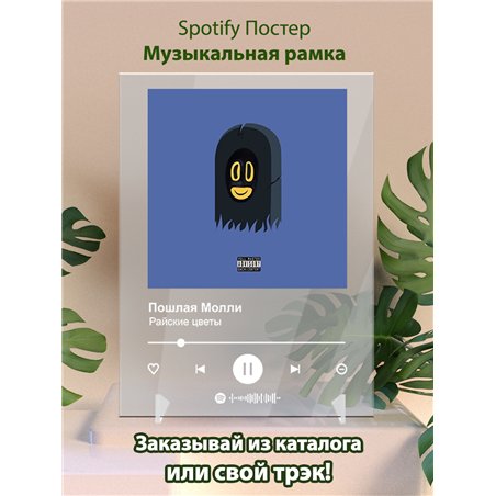 Пошлая Молли - Райские цветы - постер Spotify