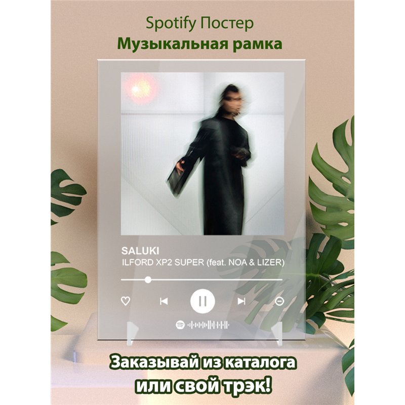 SALUKI - ILFORD XP2 SUPER (feat. NOA LIZER) - постер Spotify