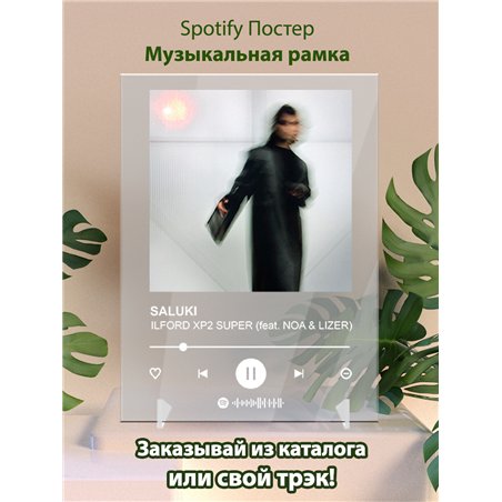 SALUKI - ILFORD XP2 SUPER (feat. NOA LIZER) - постер Spotify