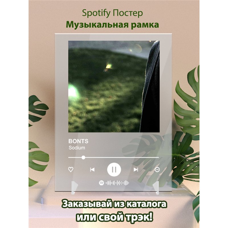 BONTS - Sodium - постер Spotify