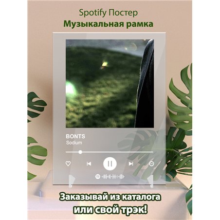 BONTS - Sodium - постер Spotify