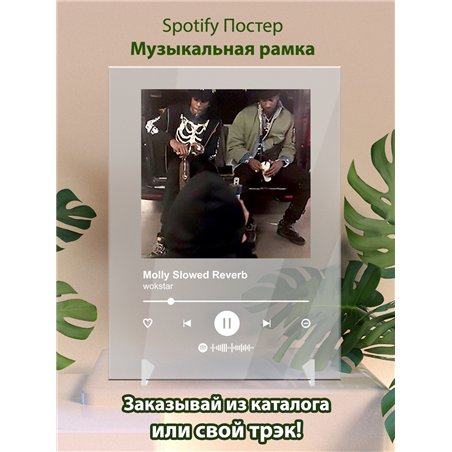 wokstar - Molly Slowed Reverb - постер Spotify
