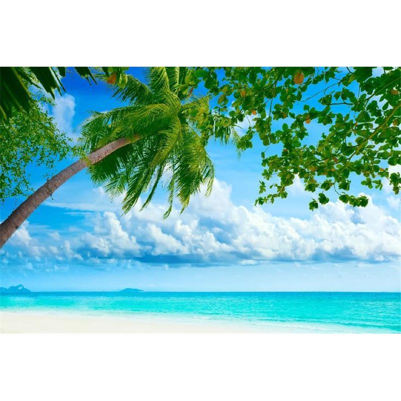 Пальма на берегу моря - Фотообои Море