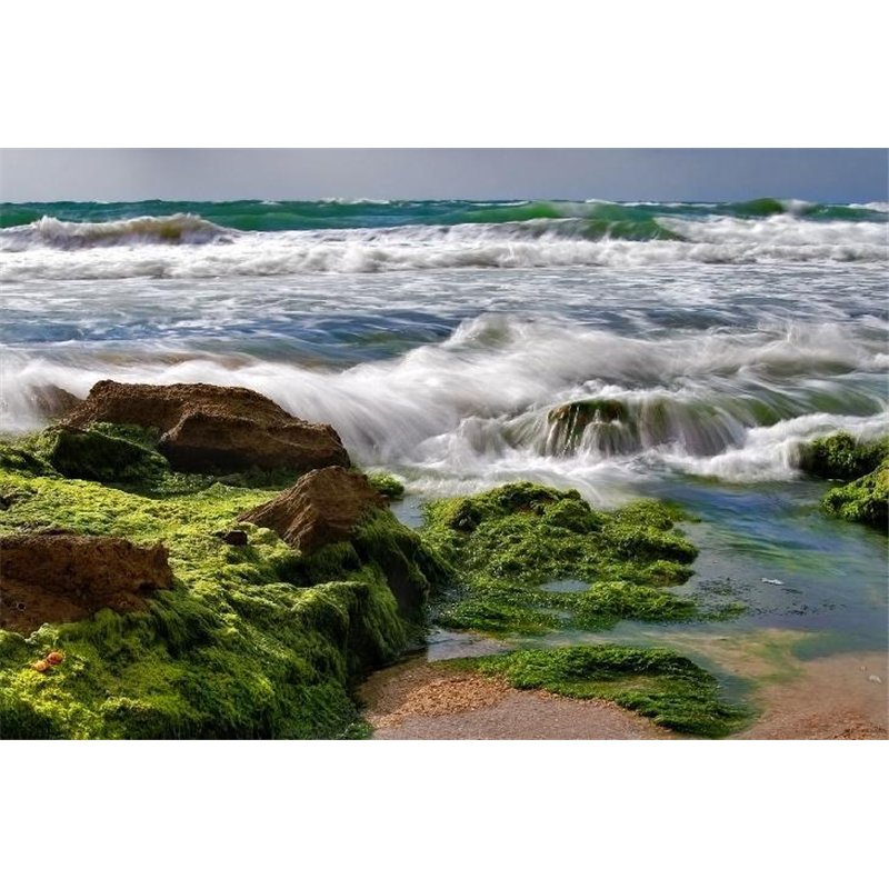 Море - Фотообои Море|побережье