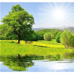 Дерево у воды - Фотообои природа|лес