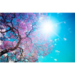 Цветущее дерево - Фотообои природа|деревья и травы