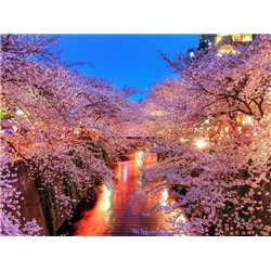Деревья в цвету - Фотообои природа|деревья и травы